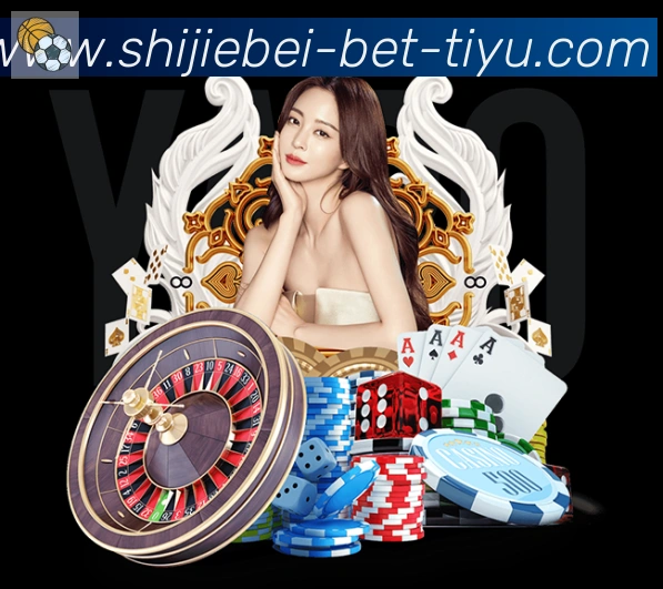 未来规划